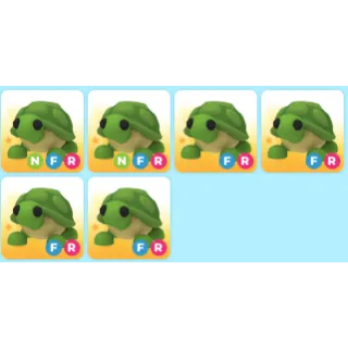 2x NFR TURTLE + 4x FR TURTLE || AM!