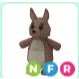 NFR KANGAROO