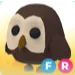 FR OWL 