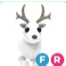 FR ARCTIC REINDEER