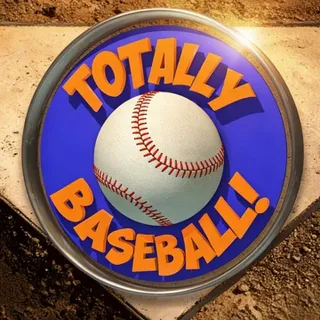 TOTALLY BASEBALL VR |Offcial Meta Quest Key | Fast Delivery