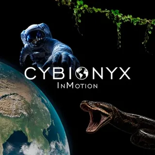 CYBIONYX InMotion - Meta Quest Key 