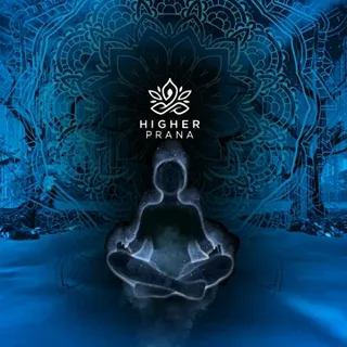 Higher Prana VR |Offcial Meta Quest Key | Fast Delivery