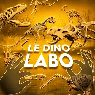 Le Dino Labo| Official Meta Quest Key | Fast Delivery | GLOBAL