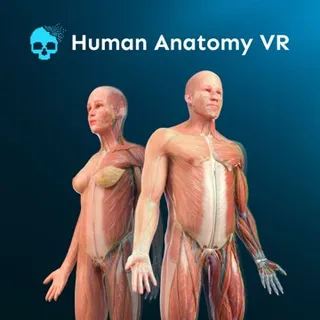 Human Anatomy VR | Official Meta Quest Key |Fast Delivery