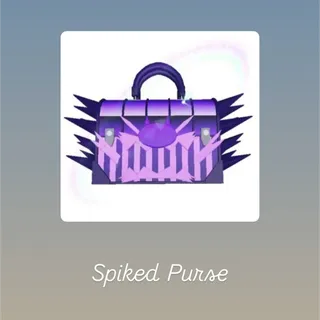 SPIKED PURSE- BADDIES