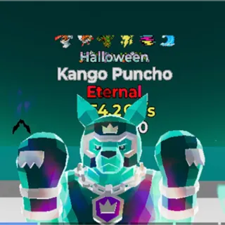 KANGO PUNCHO 6T STB