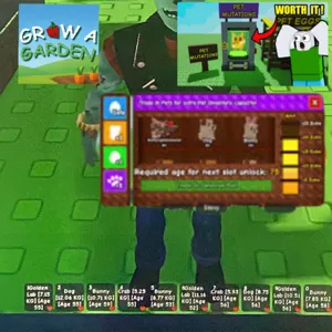 SALE1/1-x25aged50pets