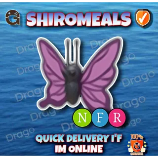 NFR Purple Butterfly