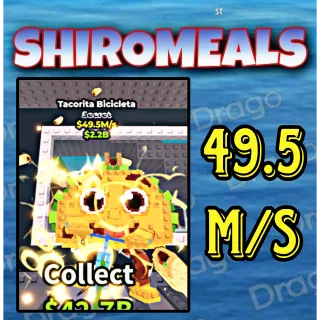 Tacorita Bicicleta - 49.5M/s - Secret / Fast delivery!