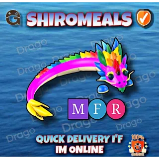 MFR Rainbow Dragon