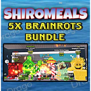5x Bundle Cheap Brainrots