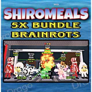 5x Bundle Cheap Brainrots