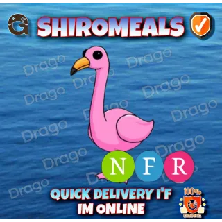 NFR Flamingo