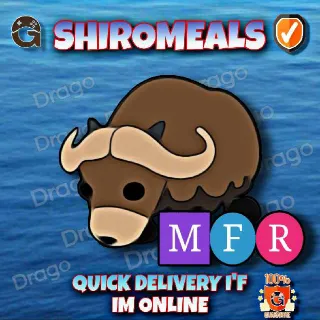 MFR Musk Ox