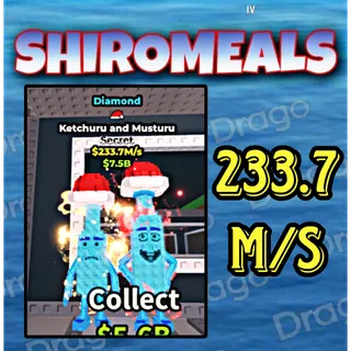 KETCHURU AND MUSTURU