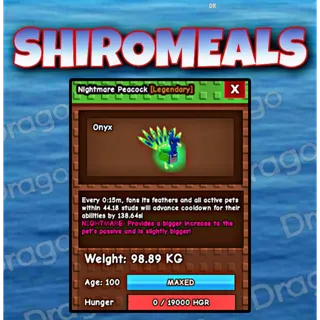 Huge Nightmare Peacock Max Age