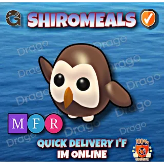 MFR Owl