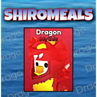 Knockout! 🐉 Dragon Skin 🐉 Mythic