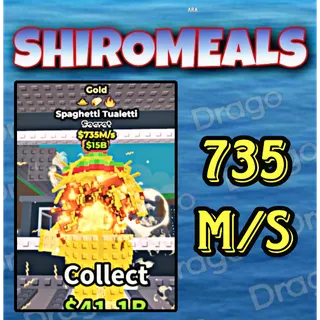 Spaghetti Tualetti - 735M/s - Secret / Fast delivery!