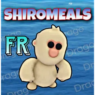 FR Snow Monkey