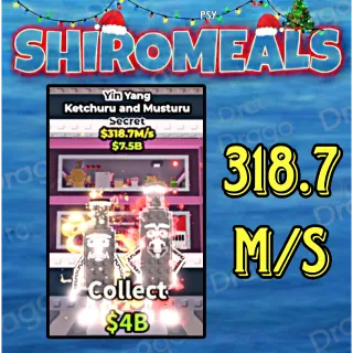 KETCHURU AND MUSTURU 