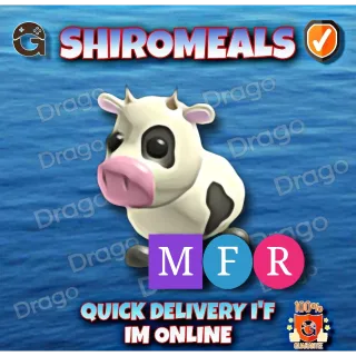 Cow MFR