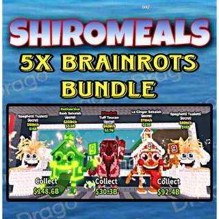 5x Bundle Cheap Brainrots