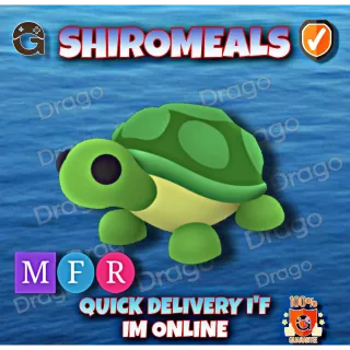 MFR Turtle