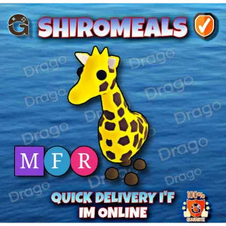 MFR Giraffe