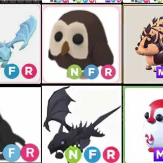 pet bundle