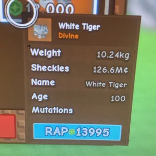 white tiger