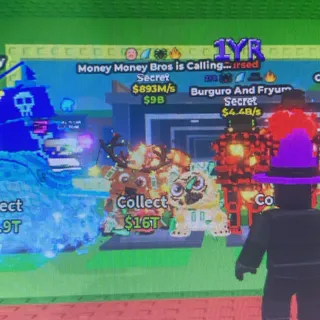 money money bros 893m