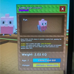 galah cockatoo jumbo