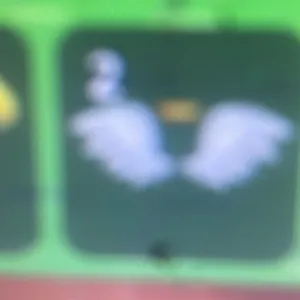 cupid wings