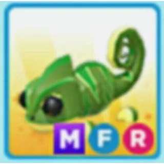 MFR CHAMELEON