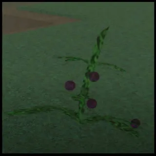 20 DOGBANE