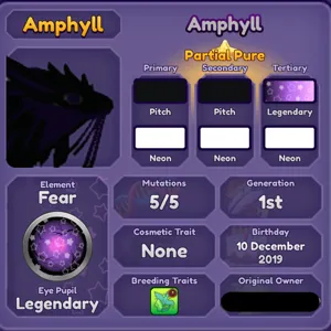 2019 FM DBL THL AMPHYLL