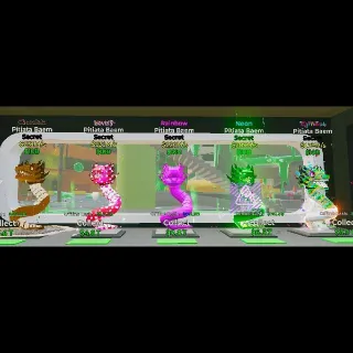 Pitiata Baem 5x Bundle