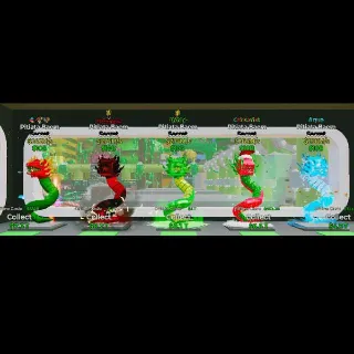 Pitiata Baems  5x Bundle