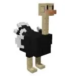 ostrich