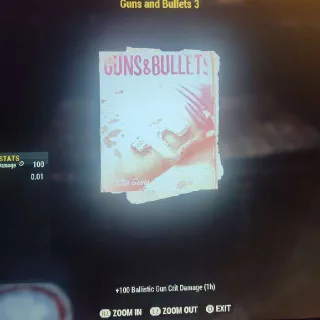 100 Guns And Bullet 3