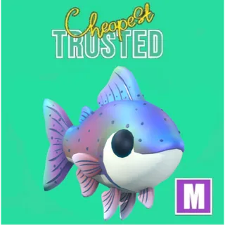 Mega Rainbow Trout