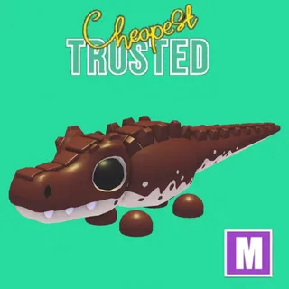 2pcs Cocoadile Mega
