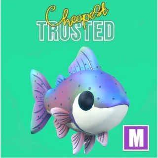 Mega Rainbow Trout
