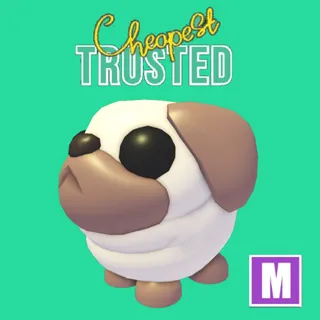Mega Snowball Pug