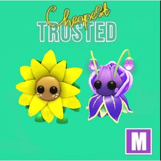 Sunflower Friend + Violet Friend Mega