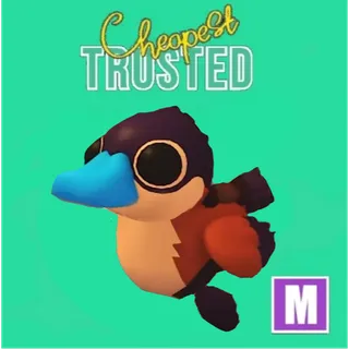 Mega Ruddy Duck