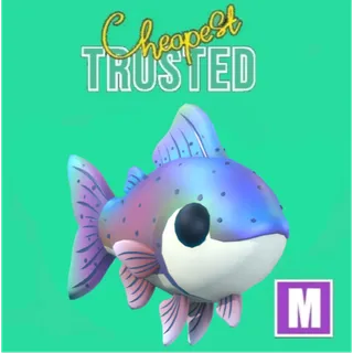 Mega Rainbow Trout