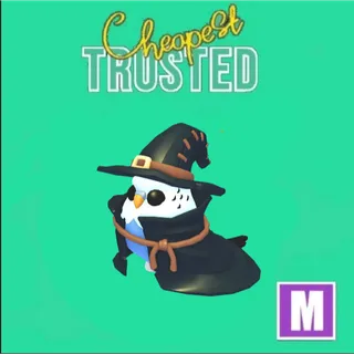 Budgie Witch MEGA